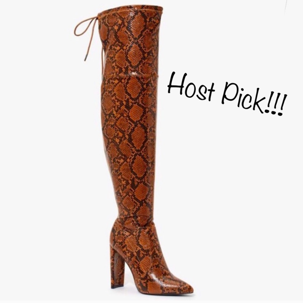 🥳 Host Pick 🥳 NWT Zeppelin Back Lace-up Boot